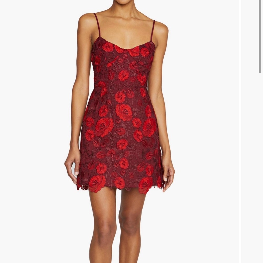 ML Monique Lhuillier Arielle Floral Embroidery Cocktail Mini Dress - Size 4